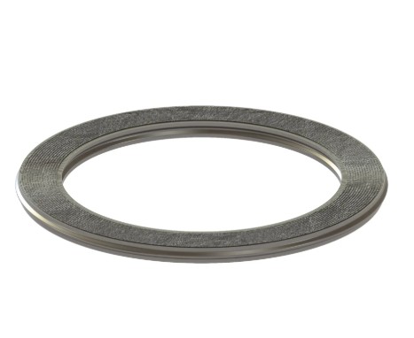 spiral wound gasket Style RIR (Inner Ring Only)